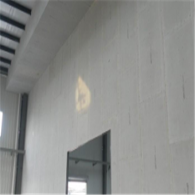 高明宁波ALC板|EPS加气板隔墙与混凝土整浇联接的实验研讨